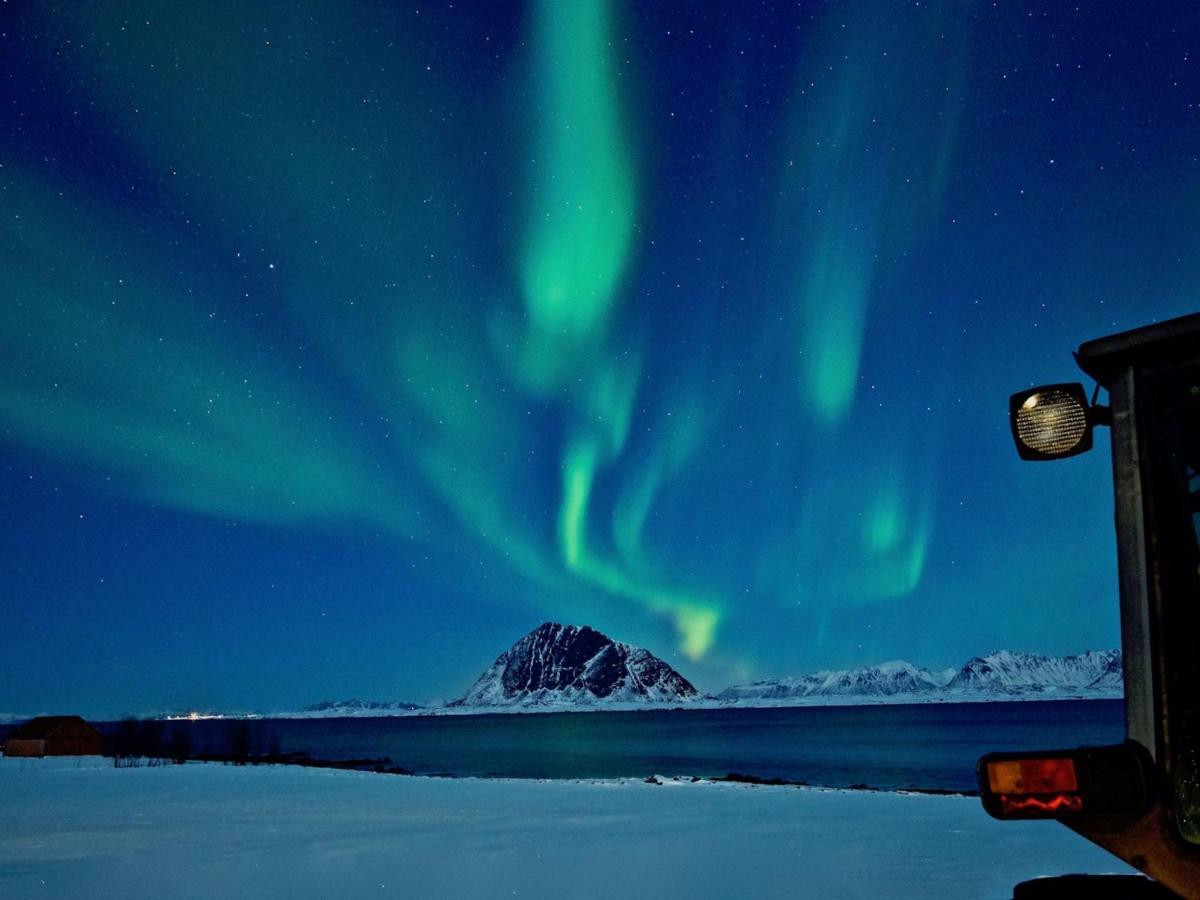 Steinbakk - Vestresand Lofoten Bostad Exteriör bild