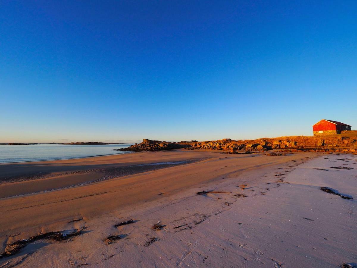 Steinbakk - Vestresand Lofoten Bostad Exteriör bild